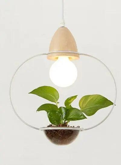 Lumenorth Terrarium Pot Pendant Light