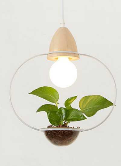 Lumenorth Terrarium Pot Pendant Light