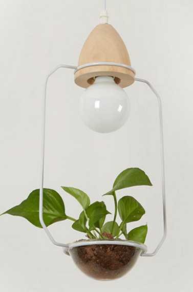 Lumenorth Terrarium Pot Pendant Light