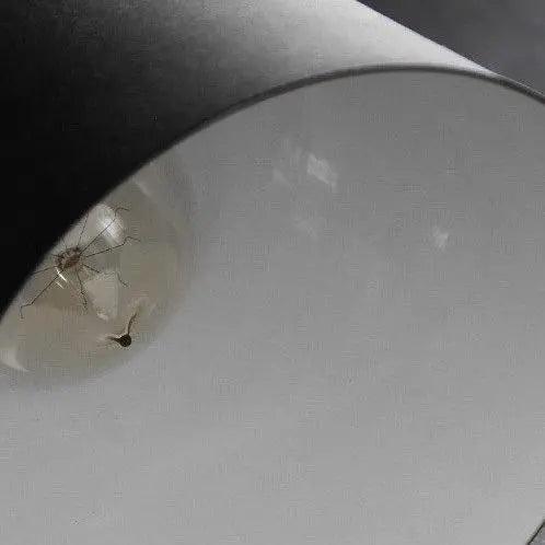 Lumenorth Snow Nordic Wall Lamp