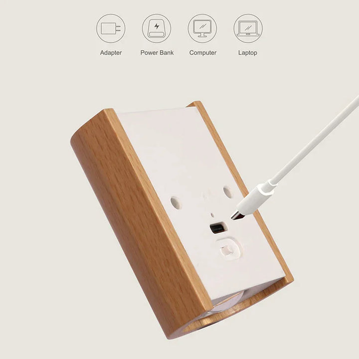 Lumenorth Beech Motion Sensor Sconce